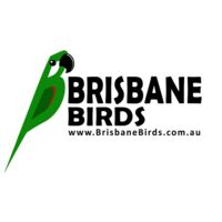 Brisbane Birds Thumbnail